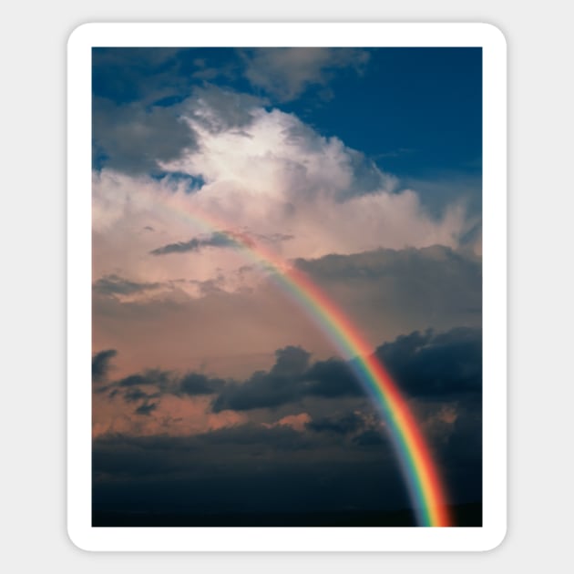 Rainbow (E135/0072) Sticker by SciencePhoto